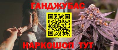сатива Будённовск