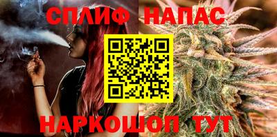 сатива Будённовск