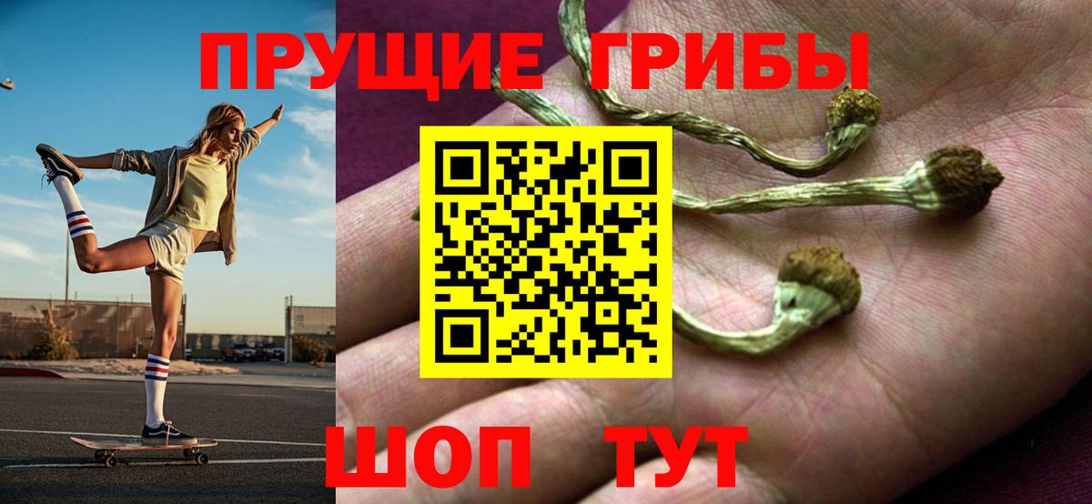 Галлюциногенные грибы мухоморы  Вход с VPN  Пугачёв  Псилоцибиновые грибы GOLDEN TEACHER 